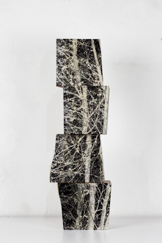 Paisaje Fragmentado, by Agustín Serisuelo — Sculpture, Carved wood