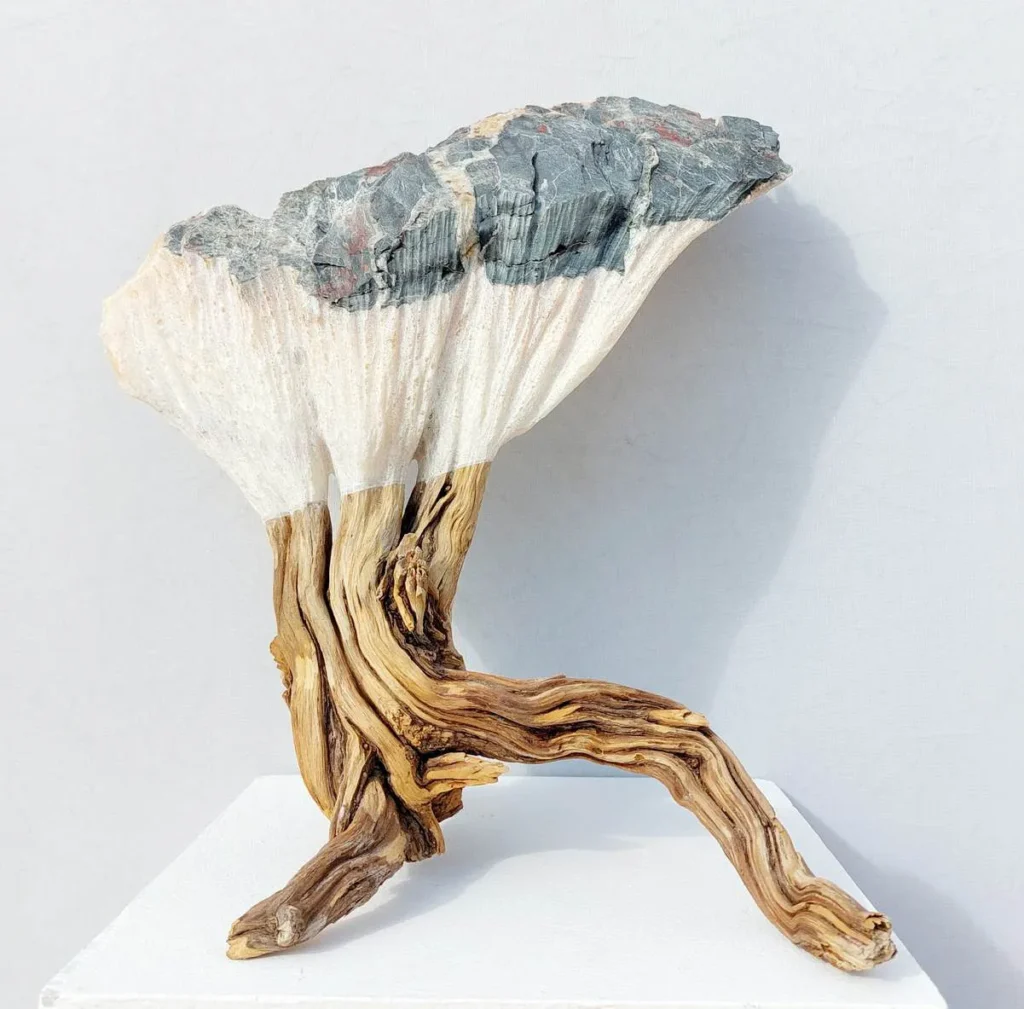 Root 2, by Juan Carlos Rayas