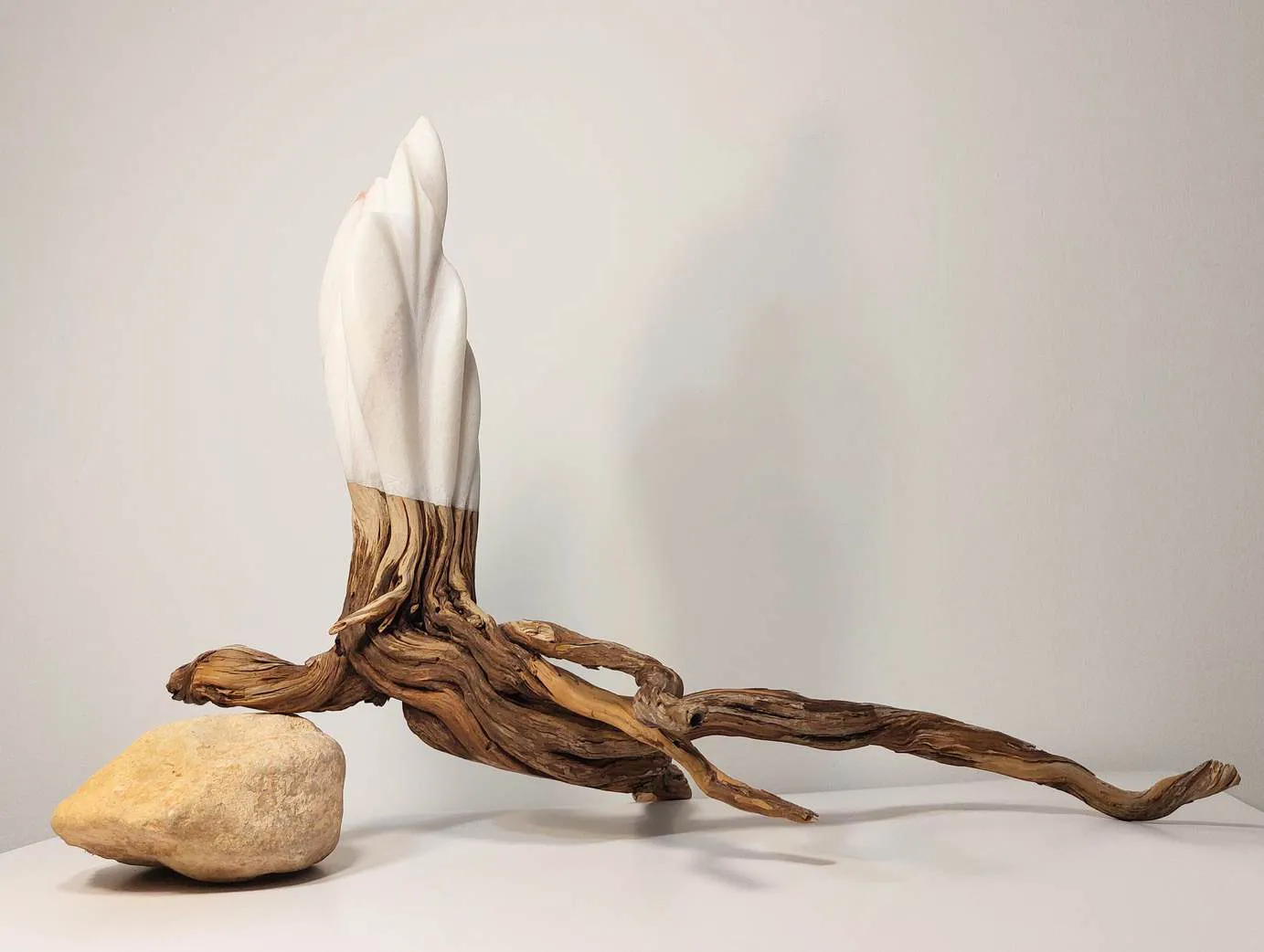 Root 3, by Juan Carlos Rayas